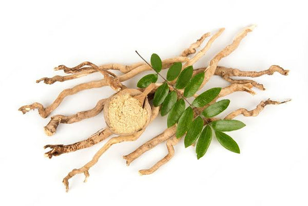 Tongkat Ali:&nbsp;The Natural Testosterone&nbsp;Booster That Works